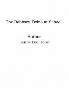 Omslagsbild för The Bobbsey Twins at School
