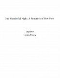 Omslagsbild för One Wonderful Night: A Romance of New York