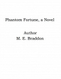 Omslagsbild för Phantom Fortune, a Novel