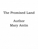 Omslagsbild för The Promised Land