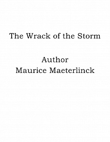 Omslagsbild för The Wrack of the Storm