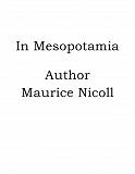 Omslagsbild för In Mesopotamia