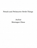 Omslagsbild för Potash and Perlmutter Settle Things