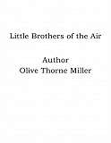 Omslagsbild för Little Brothers of the Air