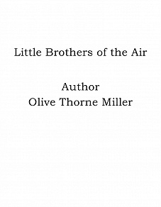 Omslagsbild för Little Brothers of the Air