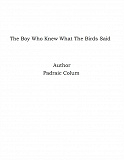 Omslagsbild för The Boy Who Knew What The Birds Said