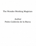 Omslagsbild för The Wonder-Working Magician