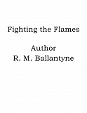 Omslagsbild för Fighting the Flames