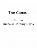 Omslagsbild för The Consul