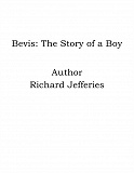 Omslagsbild för Bevis: The Story of a Boy