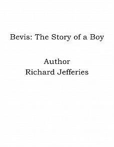Omslagsbild för Bevis: The Story of a Boy