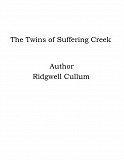 Omslagsbild för The Twins of Suffering Creek