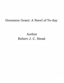 Omslagsbild för Dennison Grant: A Novel of To-day