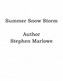 Omslagsbild för Summer Snow Storm
