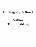 Omslagsbild för Birthright / A Novel