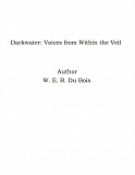 Omslagsbild för Darkwater: Voices from Within the Veil