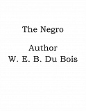 Omslagsbild för The Negro