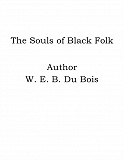 Omslagsbild för The Souls of Black Folk