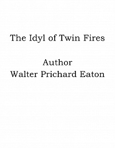 Omslagsbild för The Idyl of Twin Fires