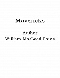 Omslagsbild för Mavericks