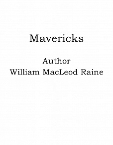 Omslagsbild för Mavericks