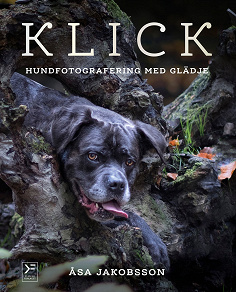 Cover for KLICK - hundfotografering med glädje