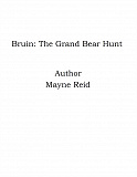 Omslagsbild för Bruin: The Grand Bear Hunt