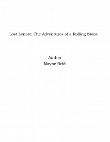 Omslagsbild för Lost Lenore: The Adventures of a Rolling Stone