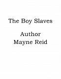 Omslagsbild för The Boy Slaves