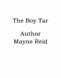 Omslagsbild för The Boy Tar