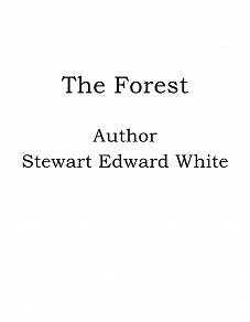 Omslagsbild för The Forest