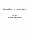 Omslagsbild för Through Night to Light: A Novel
