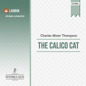 Omslagsbild för The Calico Cat