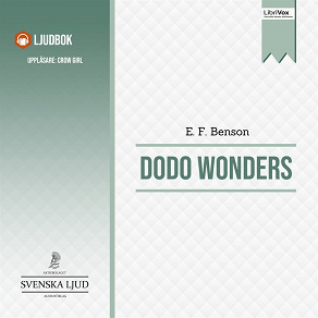 Omslagsbild för Dodo Wonders