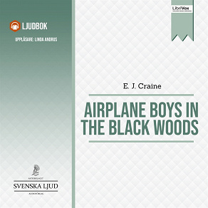 Omslagsbild för Airplane Boys in the Black Woods 