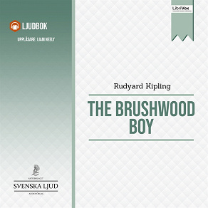 Omslagsbild för The Brushwood Boy