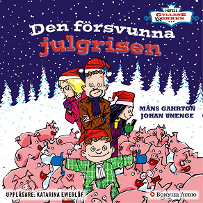 Omslagsbild för Den försvunna julgrisen