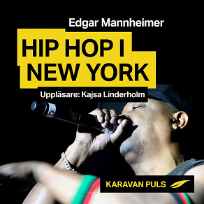 Cover for Hiphop i New York