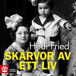 Cover for Skärvor av ett liv : vägen till och från Auschwitz