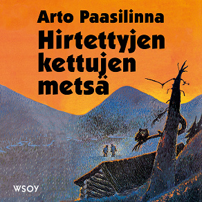 Cover for Hirtettyjen kettujen metsä