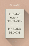 Bokomslag för Thomas Mann: Bergtagen