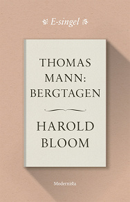 Omslagsbild för Thomas Mann: Bergtagen