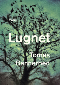 Cover for Lugnet