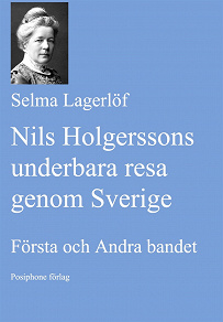 Omslagsbild för Nils Holgerssons underbara resa genom Sverige. Första och Andra bandet.