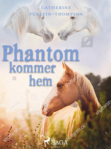 Omslagsbild för Phantom kommer hem
