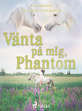 Omslagsbild för Vänta på mig, Phantom