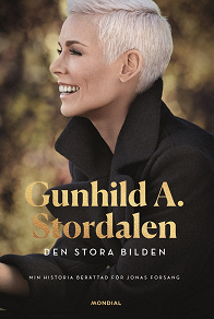 Omslagsbild för Den stora bilden