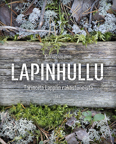 Omslagsbild för Lapinhullu