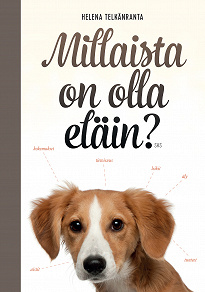 Omslagsbild för Millaista on olla eläin?