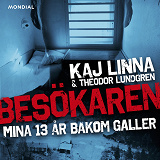 Omslagsbild för Besökaren : mina 13 år bakom galler